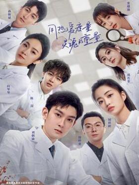 初入职场的我们法医季第二季