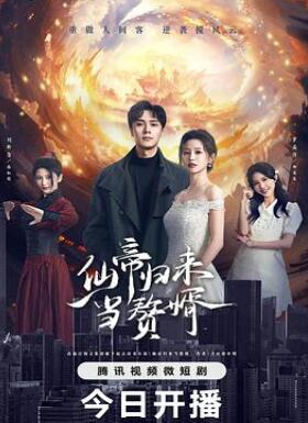 仙帝归来当赘婿