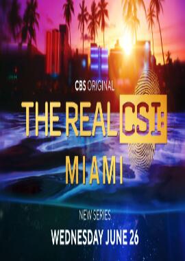 ��ʵ�����ֳ����飺������