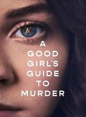好女孩的谋杀调查指南