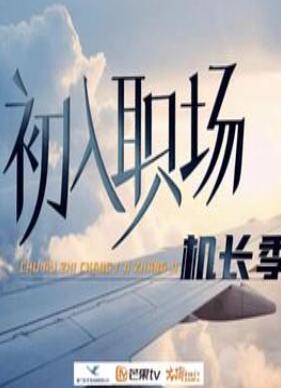 初入职场·机长季