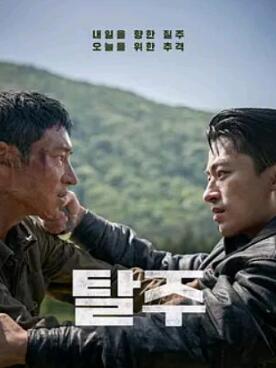 ����2024����