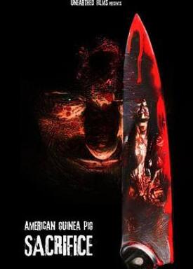 ��������4:�׼�