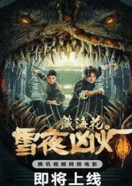 藏海花之雪夜凶灯