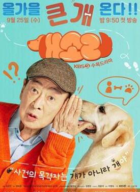 ����/��������