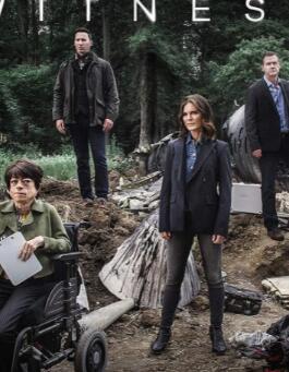 ������֤�Եڶ�ʮ�߼�