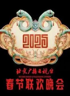 2025�������Ӵ���