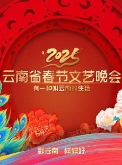 2025�������Ӵ���