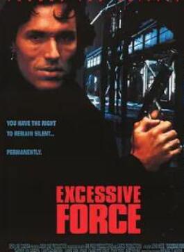 缉毒警探/稽毒警探