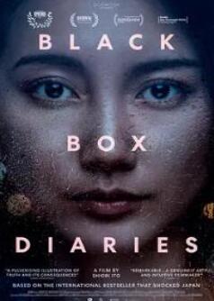 黑箱日记