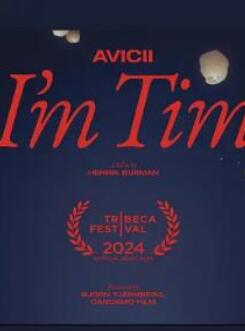 电音奇才艾维奇:蒂姆原色