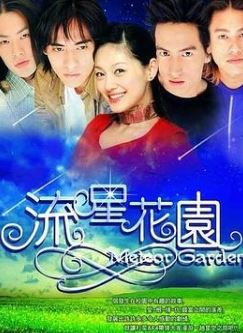 流星花园2001