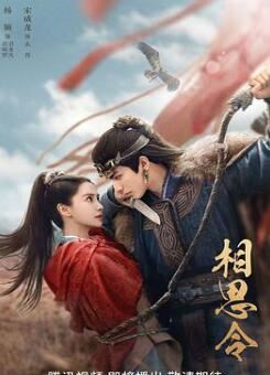 相思令电视剧在线观看免费版