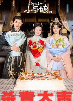 将军府来了个小厨娘之落难千金