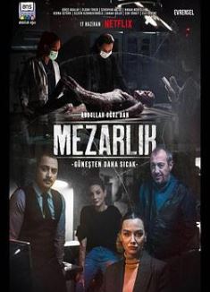 �ݻ���Ĺ��һ��