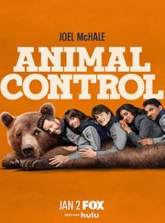 ������ƹٵ�����