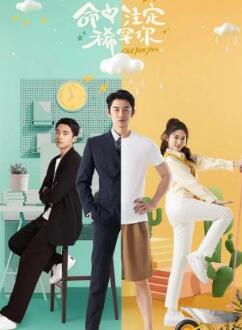 命中注定稀罕你