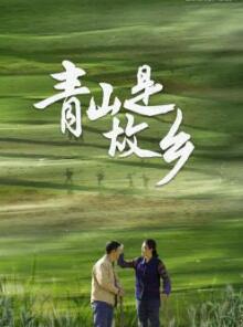 青山是故乡