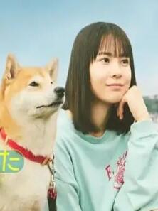 ���շݵ�ɢ��