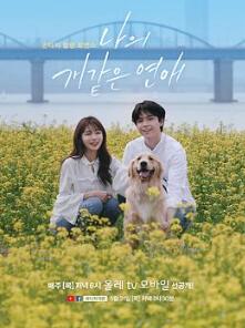 ������һ���İ���