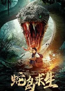 �ߵ�����