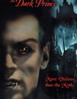 ����-�ڰ�����