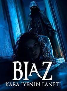 Biaz���ڰ������ߵ�����