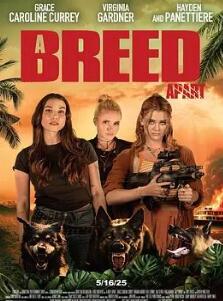 ��������2025