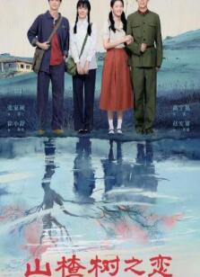 山楂树之恋2025