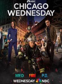 芝加哥警署第十季