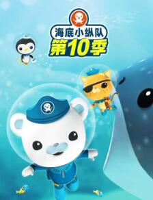 ����С�ݶӵ�ʮ��