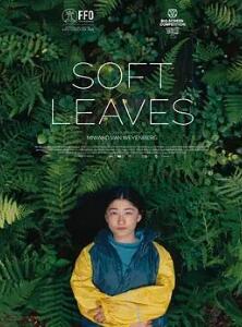 �����Ҷ��