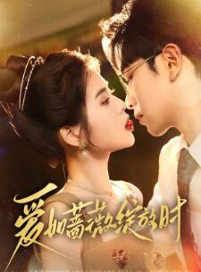 ����Ǿޱ����ʱ