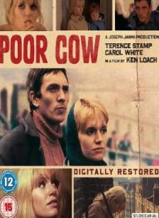 ������ĸţ