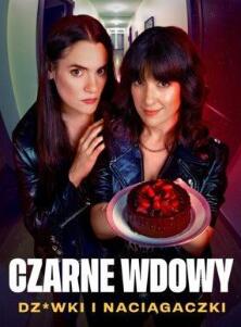 黑寡妇风月陷阱第一季