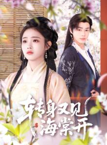 转身又见海棠开