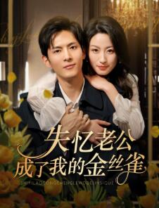 失忆老公成了我的金丝雀