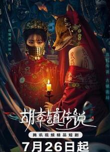 ������˵