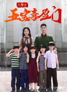 八零之五宝喜盈门