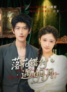 落花错付遇明月