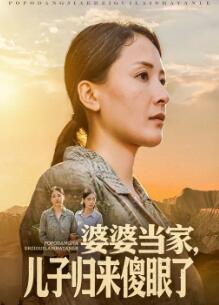 婆婆当家儿子归来傻眼了