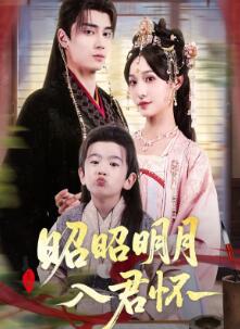 昭昭明月入君怀
