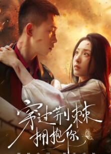 穿过荆棘拥抱你