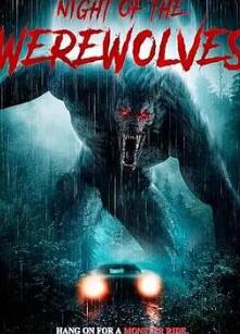 ����֮ҹ2025