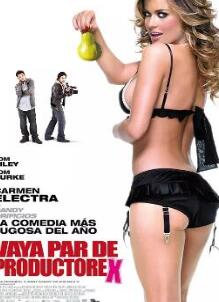 ����Ҫ����