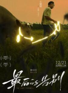 ���ĸ��2024