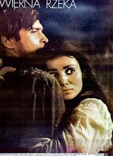 ��ʵ�ĺ���